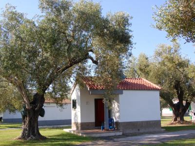 Petite maison blanche parmi les oliviers, toit rouge.