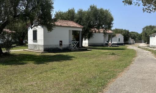 Piccoli bungalow bianchi tra gli ulivi, cielo sereno.