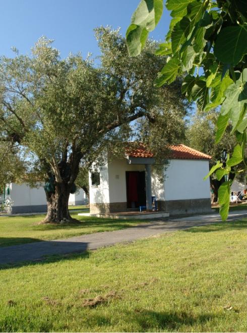 Casetta bianca con tetto rosso, circondata da alberi e prato verde.