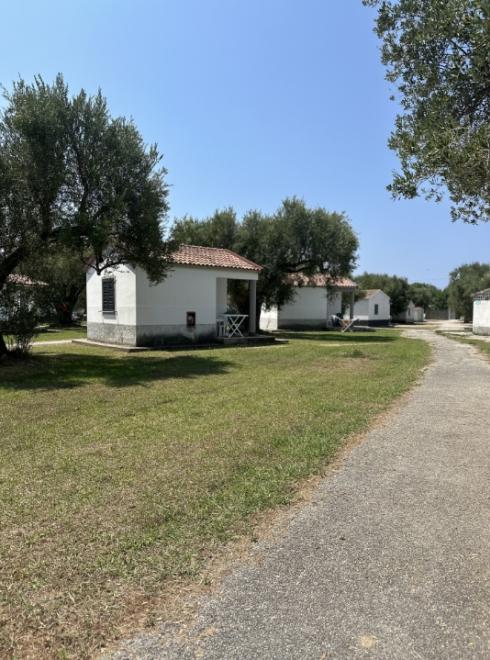 Piccoli bungalow bianchi tra gli ulivi con vialetto e cielo sereno.