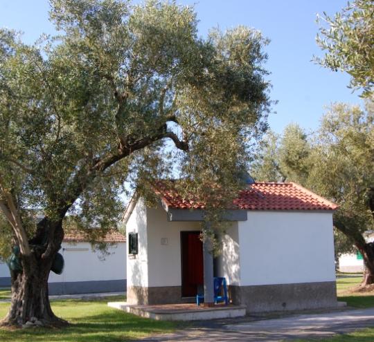 Piccola casa bianca con tetto rosso, circondata da alberi e prato verde.