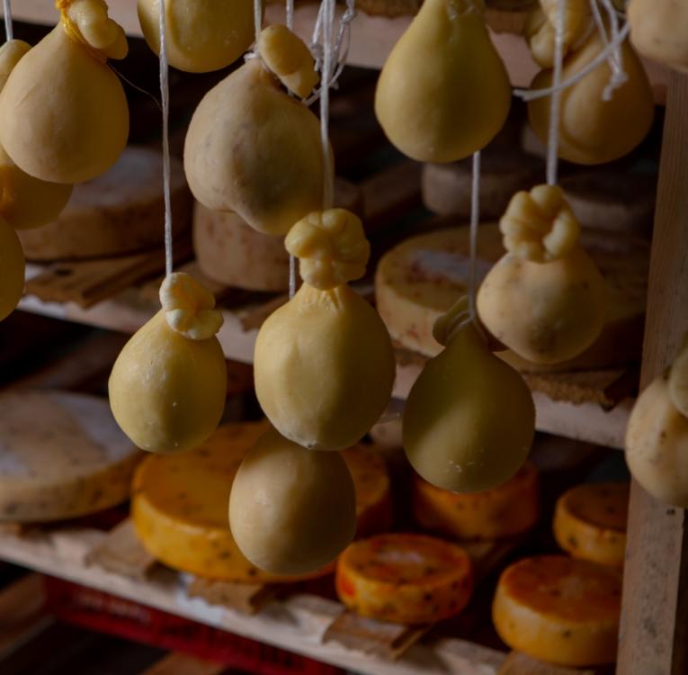 Formaggi appesi a stagionare in una cantina, tra cui provoloni e caciotte.