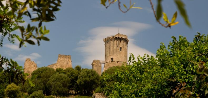 Antica torre circondata da alberi, cielo limpido e mura diroccate.